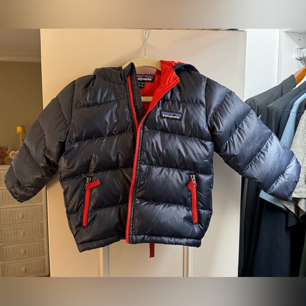 Patagonia Baby Down Sweater Hoody